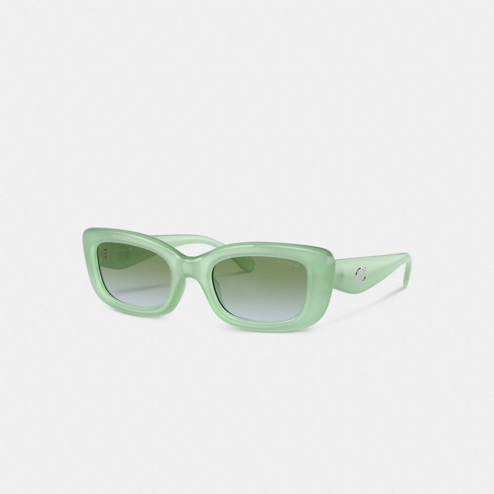 Plastic Narrow Rectangle Sunglasses