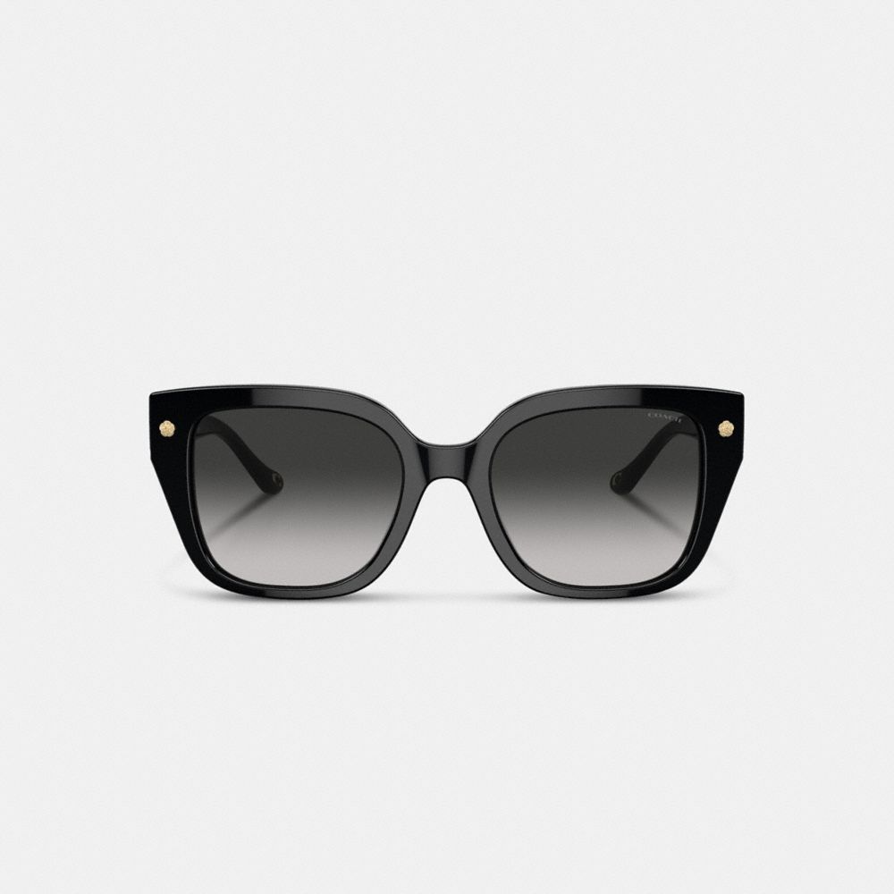 Charms Oversized Square Sunglasses