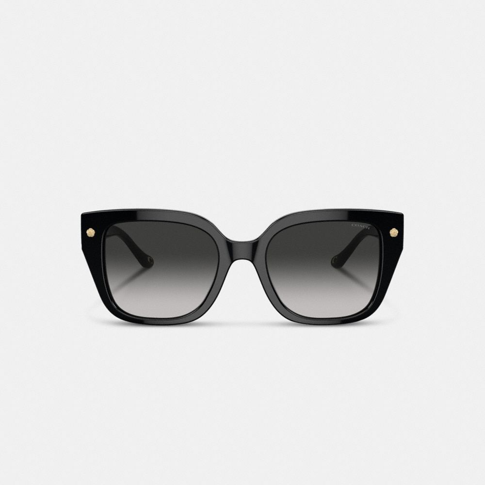 Женские солнцезащитные очки Coach Charms Oversized Square Sunglasses — фото 3