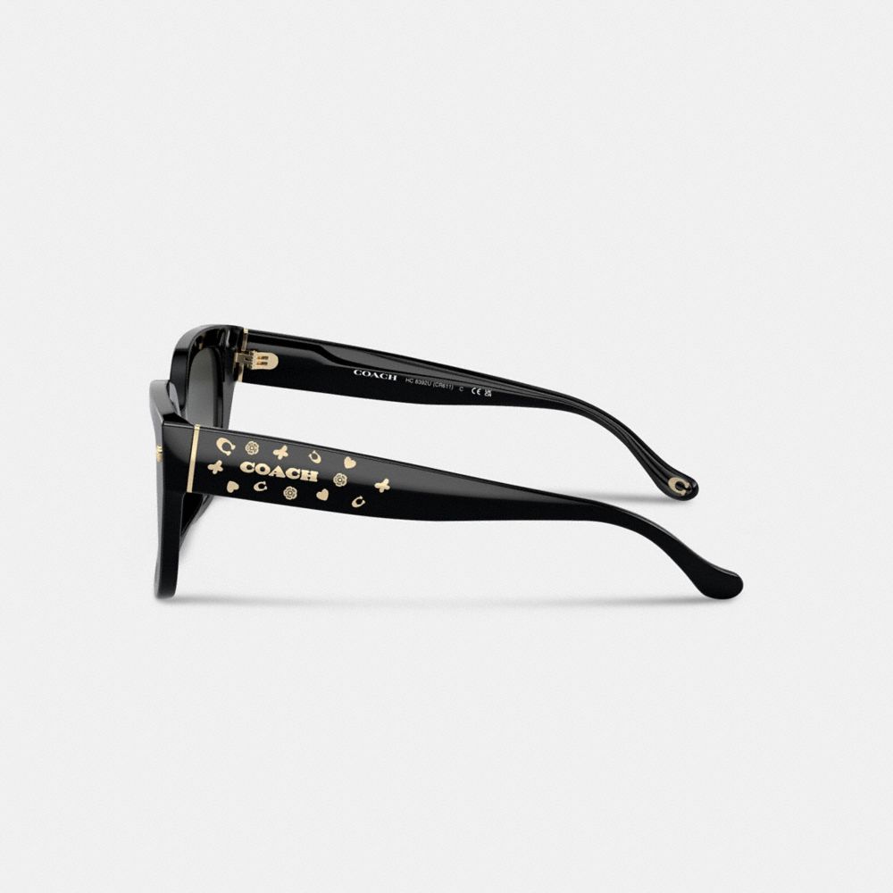 Charms Oversized Square Sunglasses