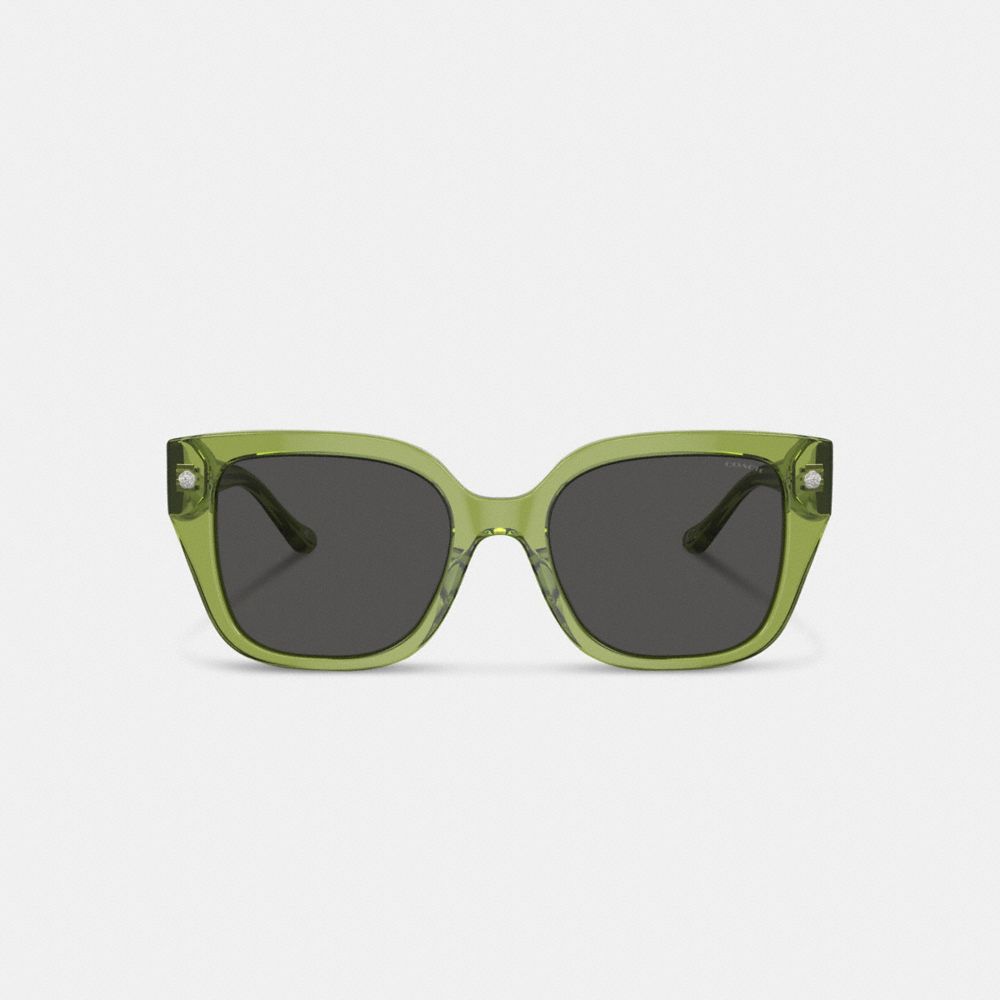 COACH®,CHARMS OVERSIZED SQUARE SUNGLASSES,Green,Inside View,Top View