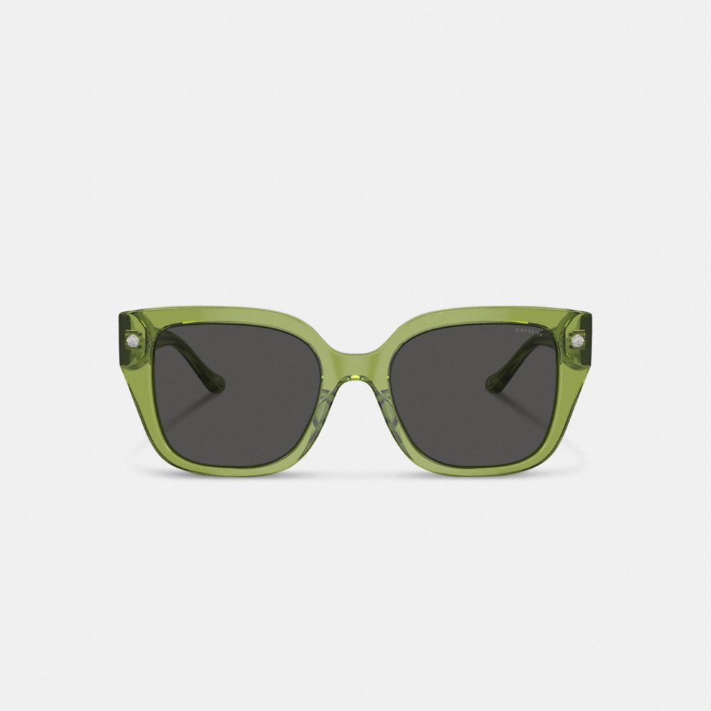 Shop Coach Charms Oversized Square Sunglasses In Green
