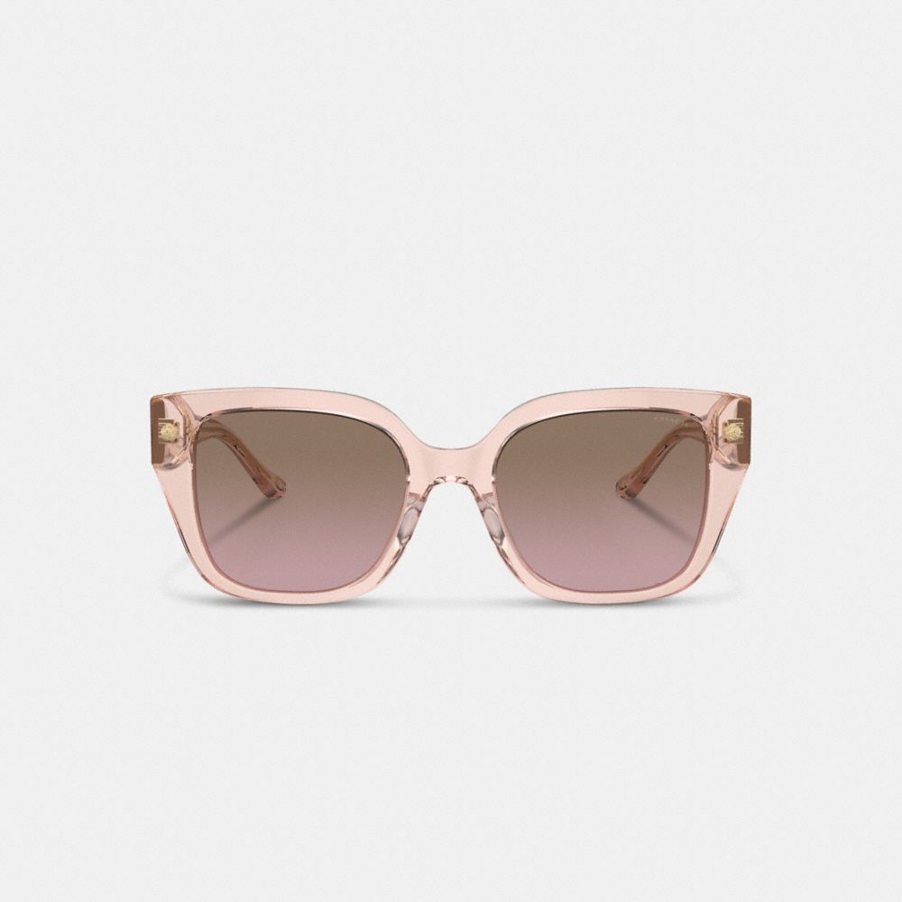 Shop Coach Charms Oversized Square Sunglasses In Brown Pink Gradient