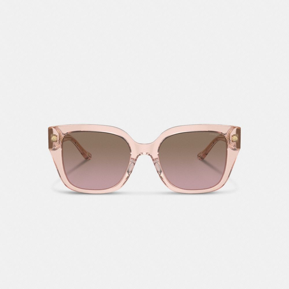 Coach Charms Oversized Square Sunglasses In Brown Pink Gradient