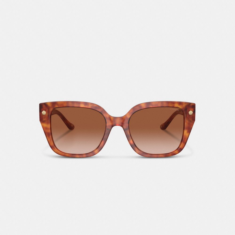 COACH®,CHARMS OVERSIZED SQUARE SUNGLASSES,Caramel Tortoise,Inside View,Top View