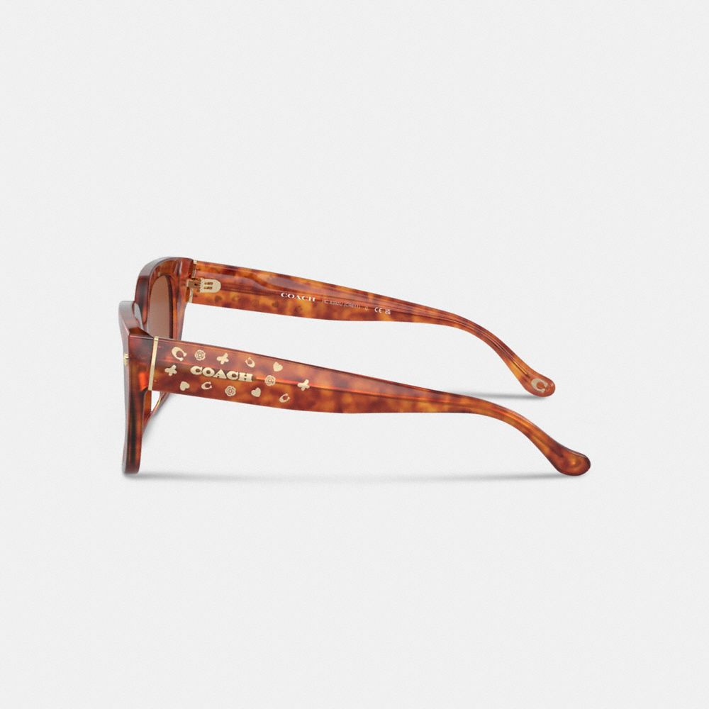 What is Tortoise Shell Pattern? Browse Glasses