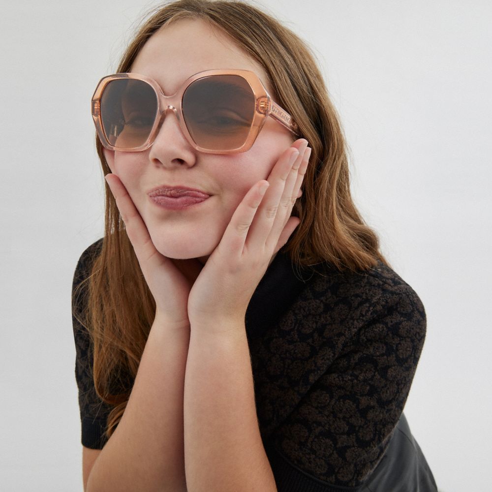 Coach In Brown Gradient