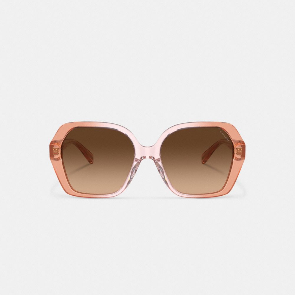 Coach In Brown Gradient