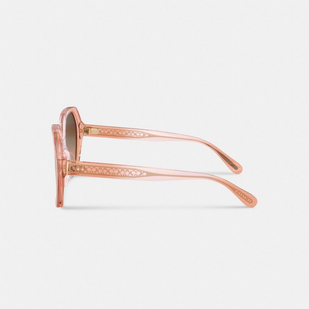 Coach In Brown Gradient