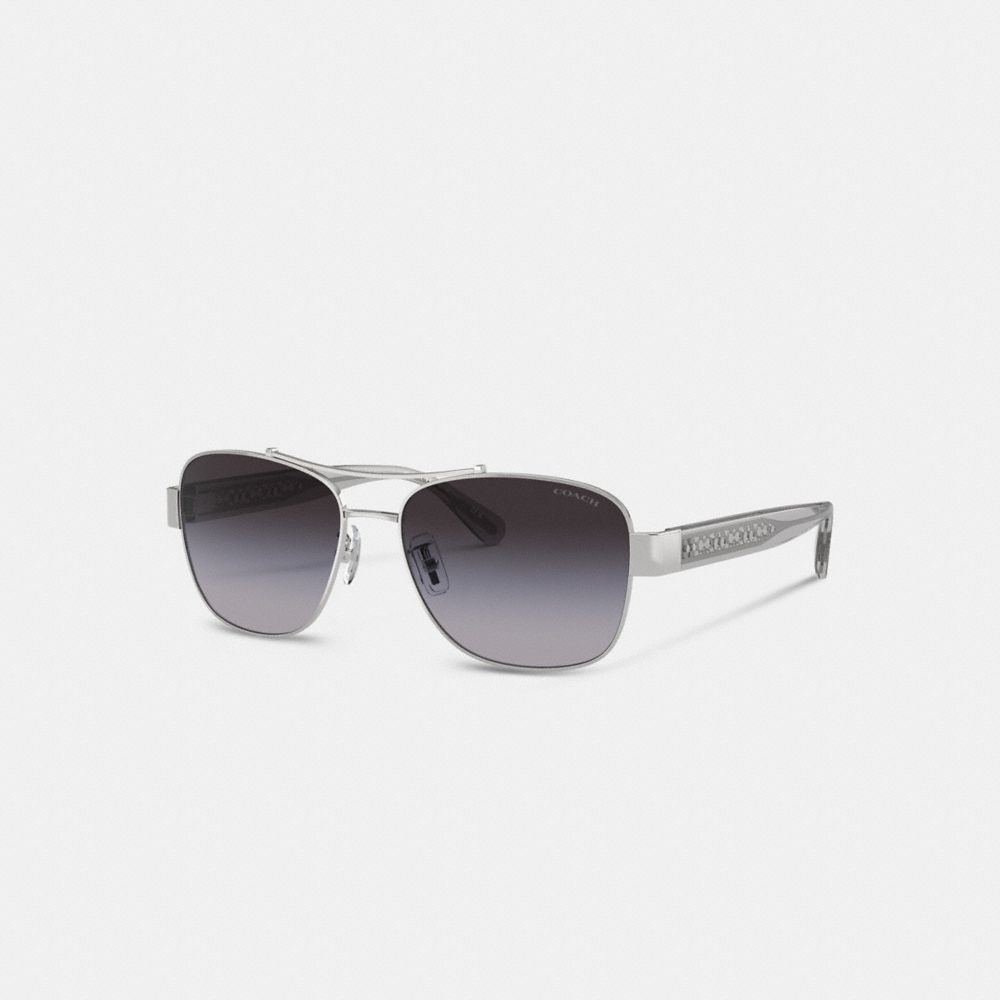 Coach In Grey Gradient