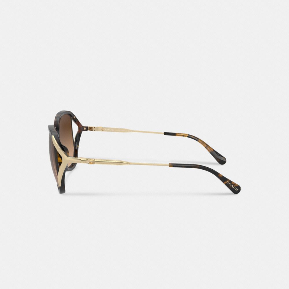 Coach Bandit Oversized Square Sunglasses In Dark Tortoise/gold