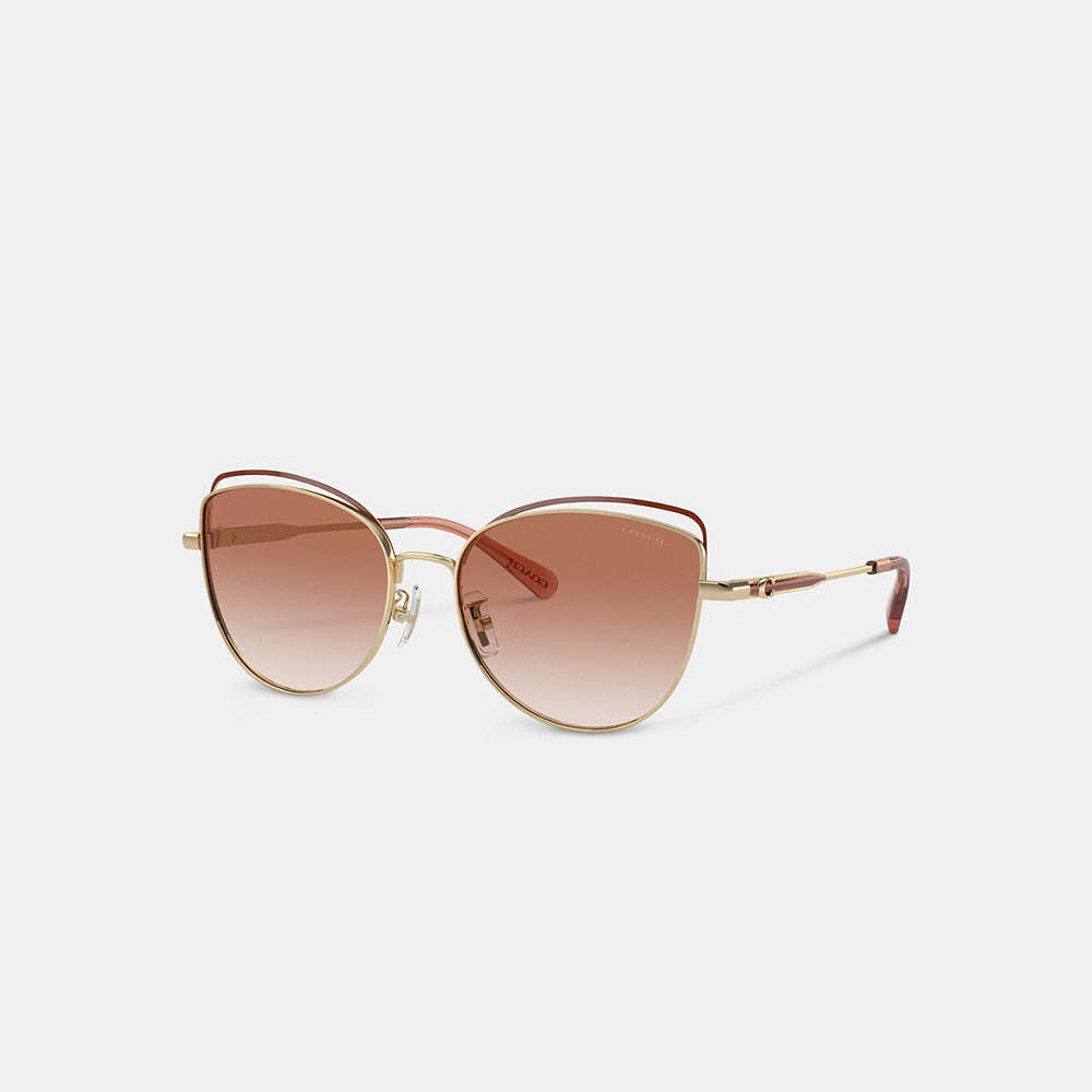 Coach Bandit Wire Oval Sunglasses In Pink/brown