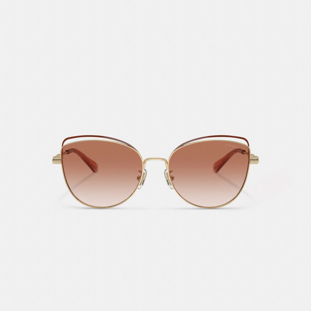 COACH®,BANDIT WIRE OVAL SUNGLASSES,Pink/Brown,Inside View,Top View
