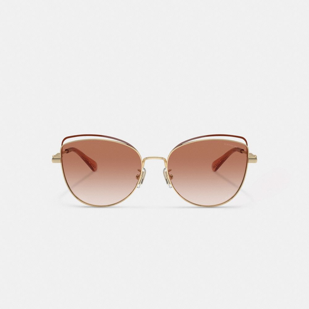 Женские солнцезащитные очки Coach Bandit Wire Oval Sunglasses — фото 3