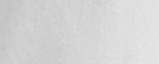 COACH®,CHEMISE EN COTON BIOLOGIQUE,Blanc