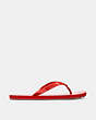 COACH®,ZAYN FLIP FLOP,Rubber,Miami Red,Angle View