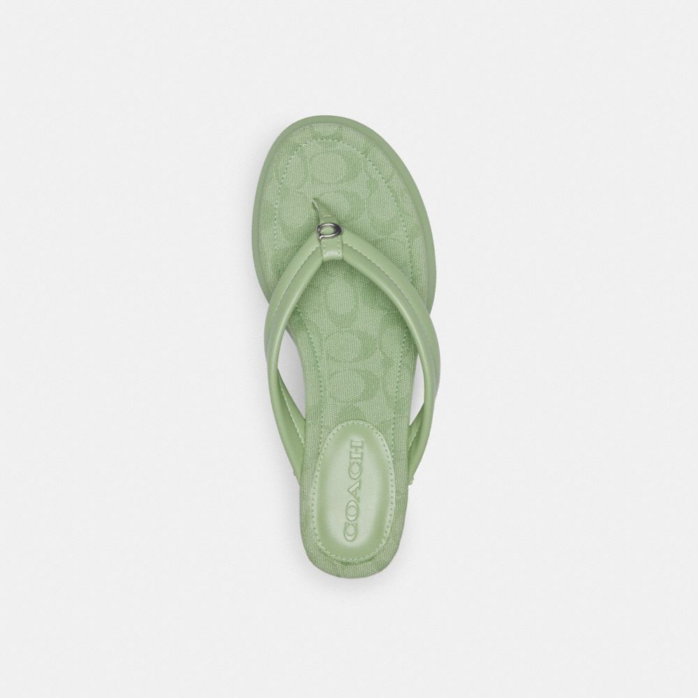 COACH®,FRANKI FLIP FLOP IN SIGNATURE JACQUARD,Pale Pistachio,Inside View,Top View