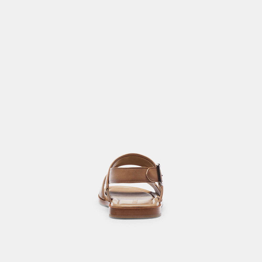 Shop Coach In Taupe