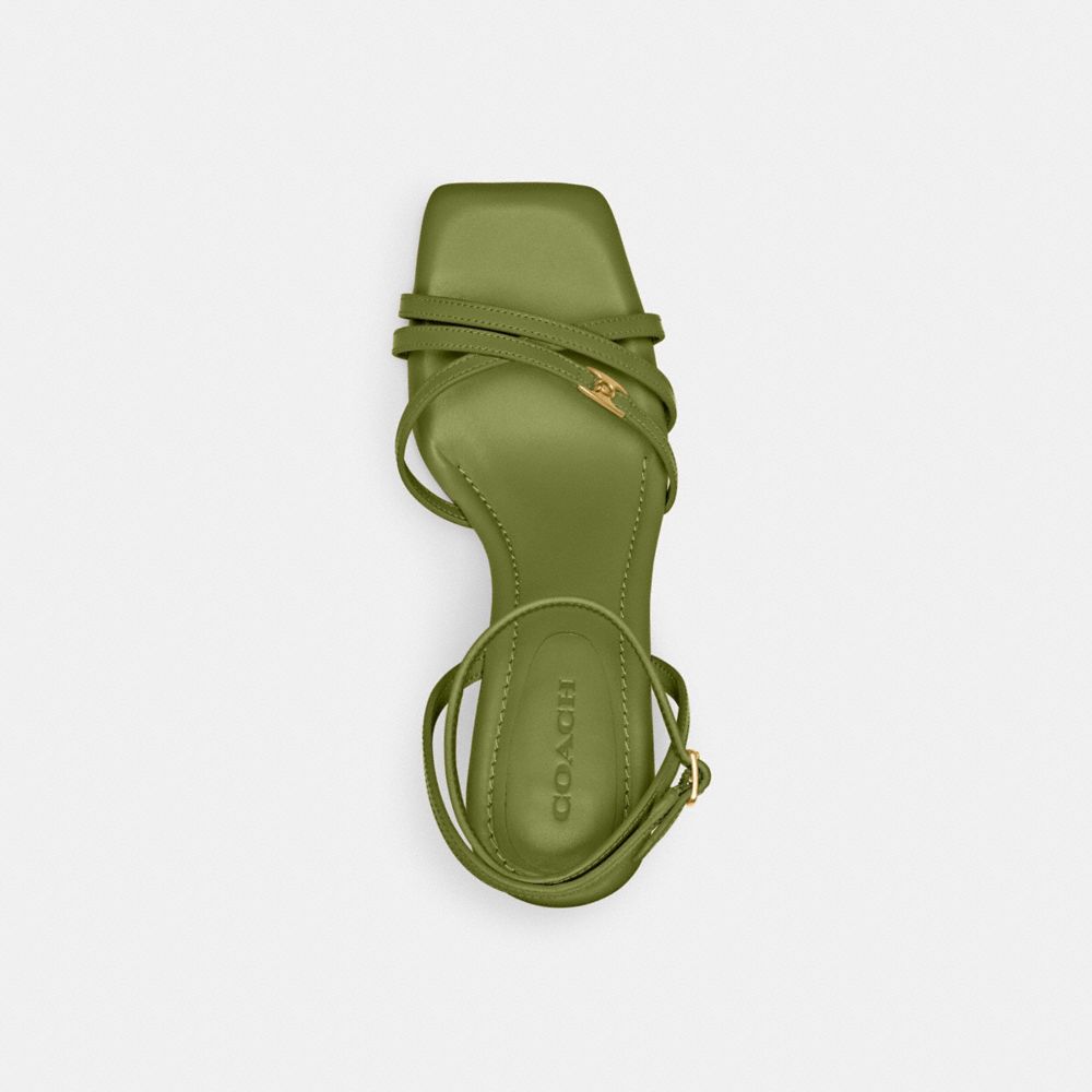 COACH®,Kelsey Sandal,Leather,Rubber,Sandals,Logo,Metal,Cushioned,Padded Insole,Day Party,Olive,Inside View,Top View