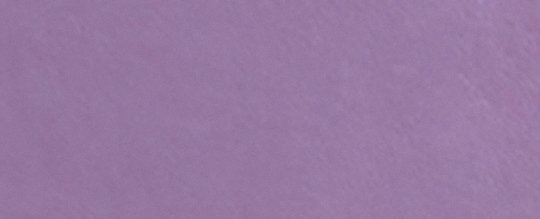 COACH®,SHORT LEATHER DRESS,Purple
