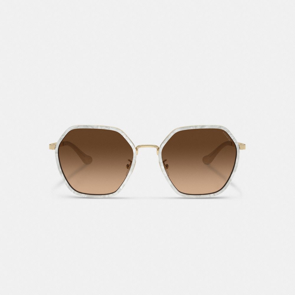 Coach Embellished Narrow Metal Hexagon Sunglasses In Brown Gradient