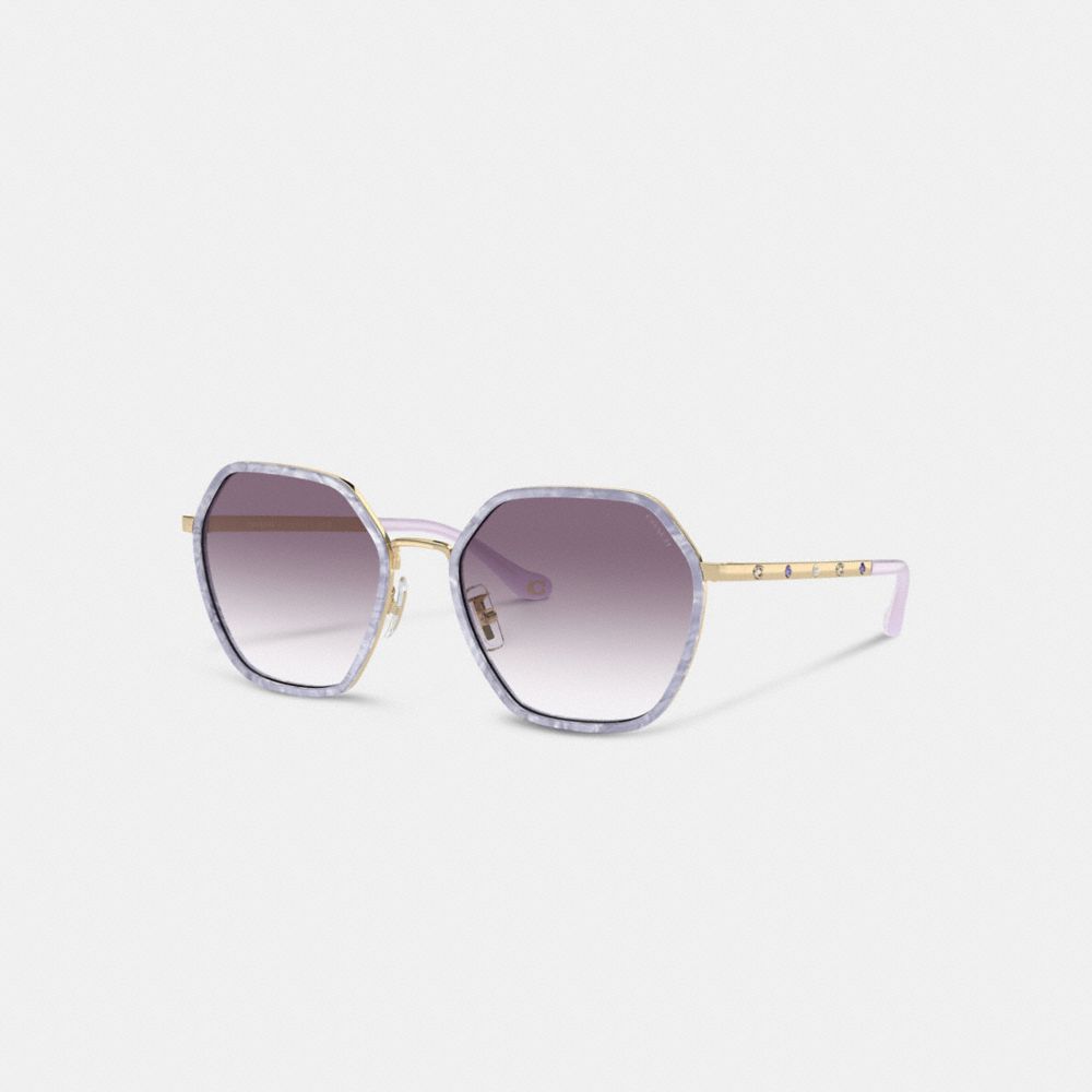 COACH®,EMBELLISHED NARROW METAL HEXAGON SUNGLASSES,Purple Gradient,Front View