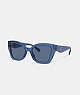 COACH®,JELLY TABBY SQUARE CAT EYE SUNGLASSES,Transparent Blue,Front View
