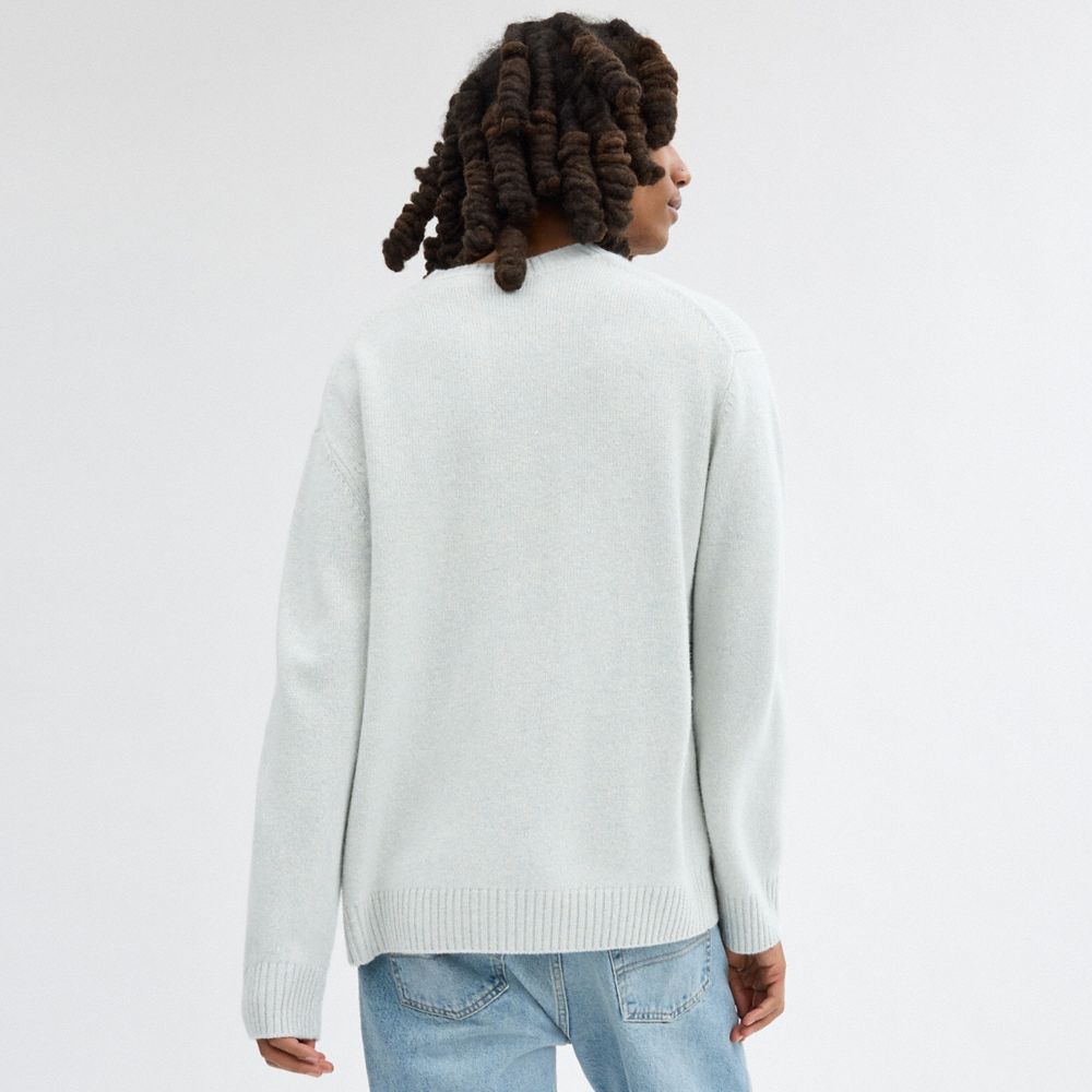 COACH®,SWEATER,Blue,Scale View