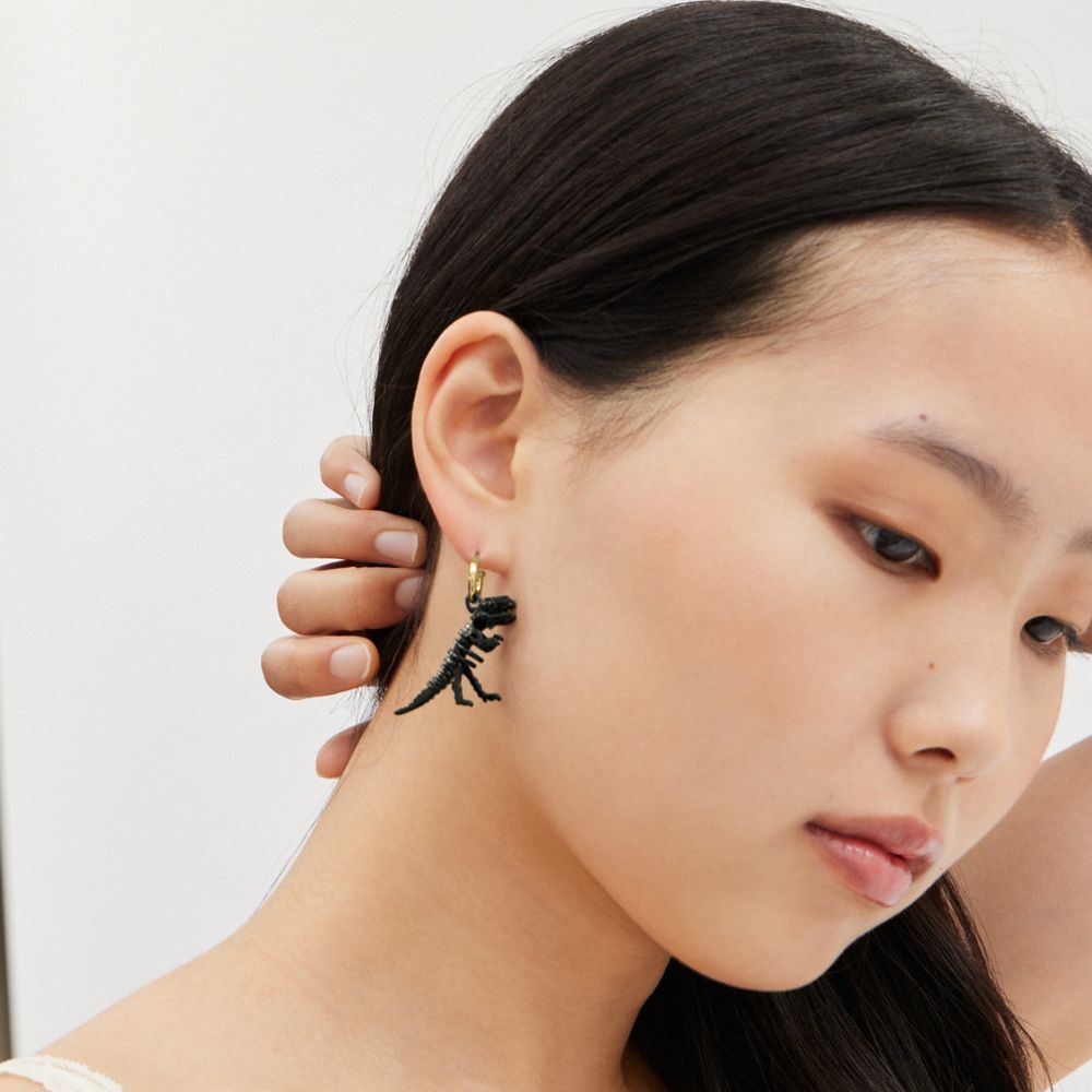 COACH®,ACHETER MAINTENANT LES BOUCLES D’OREILLES DÉPAREILLÉES,Métal,Or/Rose,Detail View