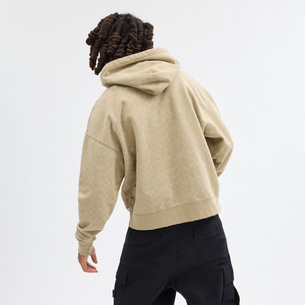 COACH®,SIGNATURE LONG SLEEVE RELAXED AMERICANA PULLOVER HOODIE,cotton,Khaki,Scale View