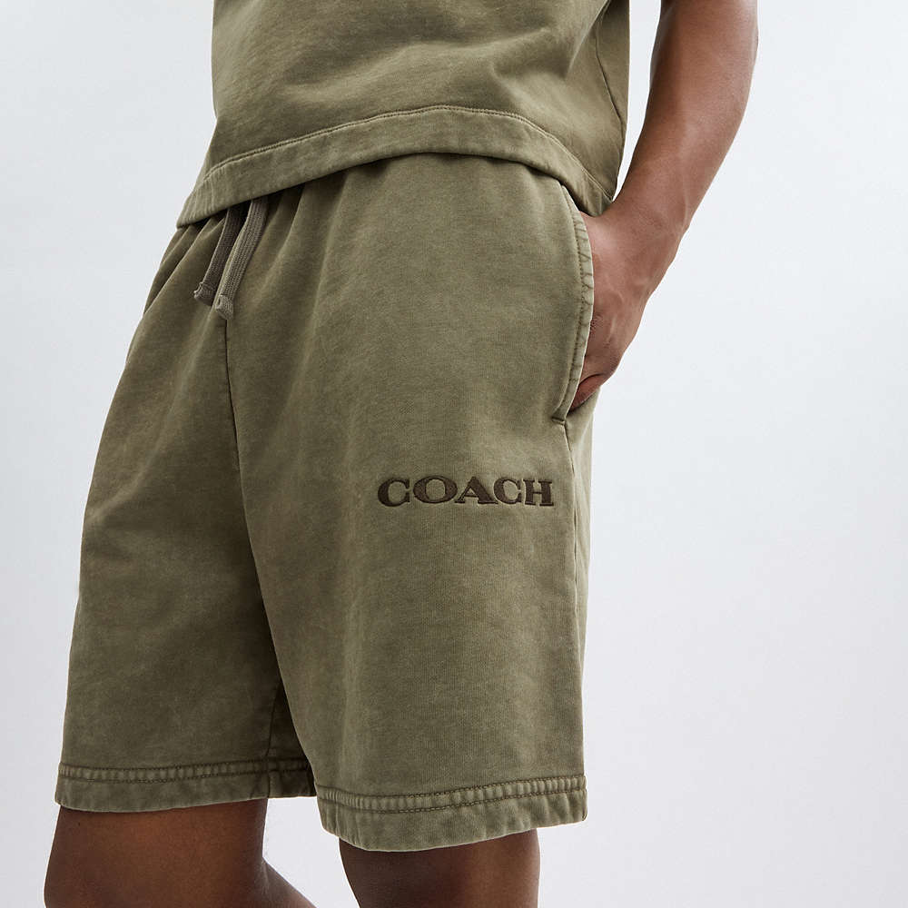 Shop Coach In Olive