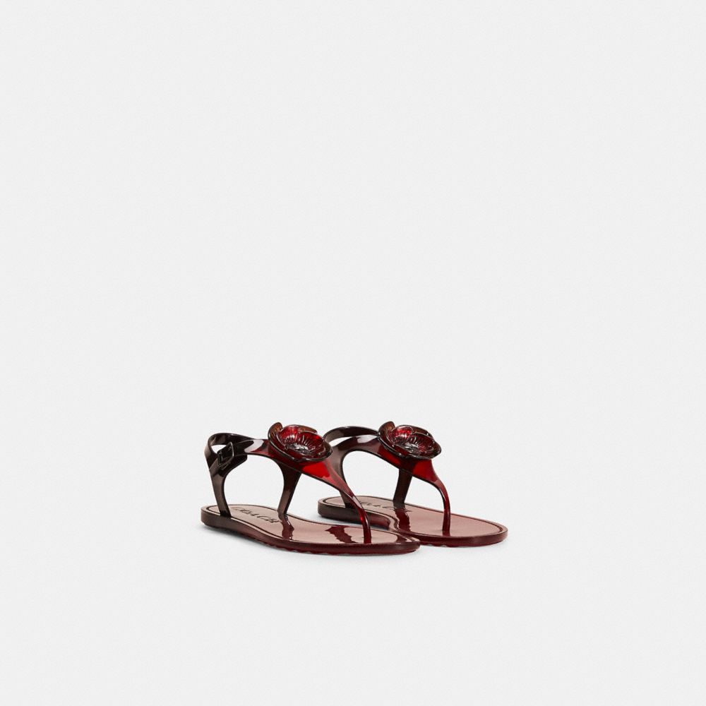 Restored Tea Rose Jelly Sandal COACH