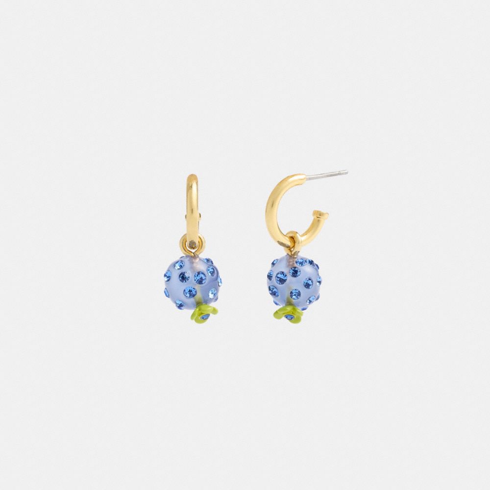 COACH®,BLUEBERRY CHARM HUGGIE EARRINGS,Gold/Blue,Front View