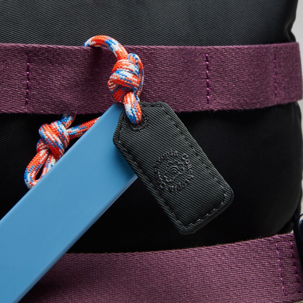 Coach Topia Loop Mini Backpack