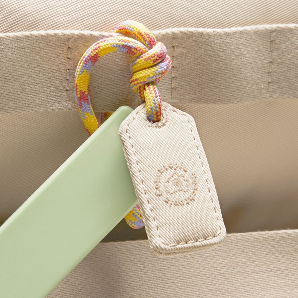 Coach Topia Loop Mini Backpack