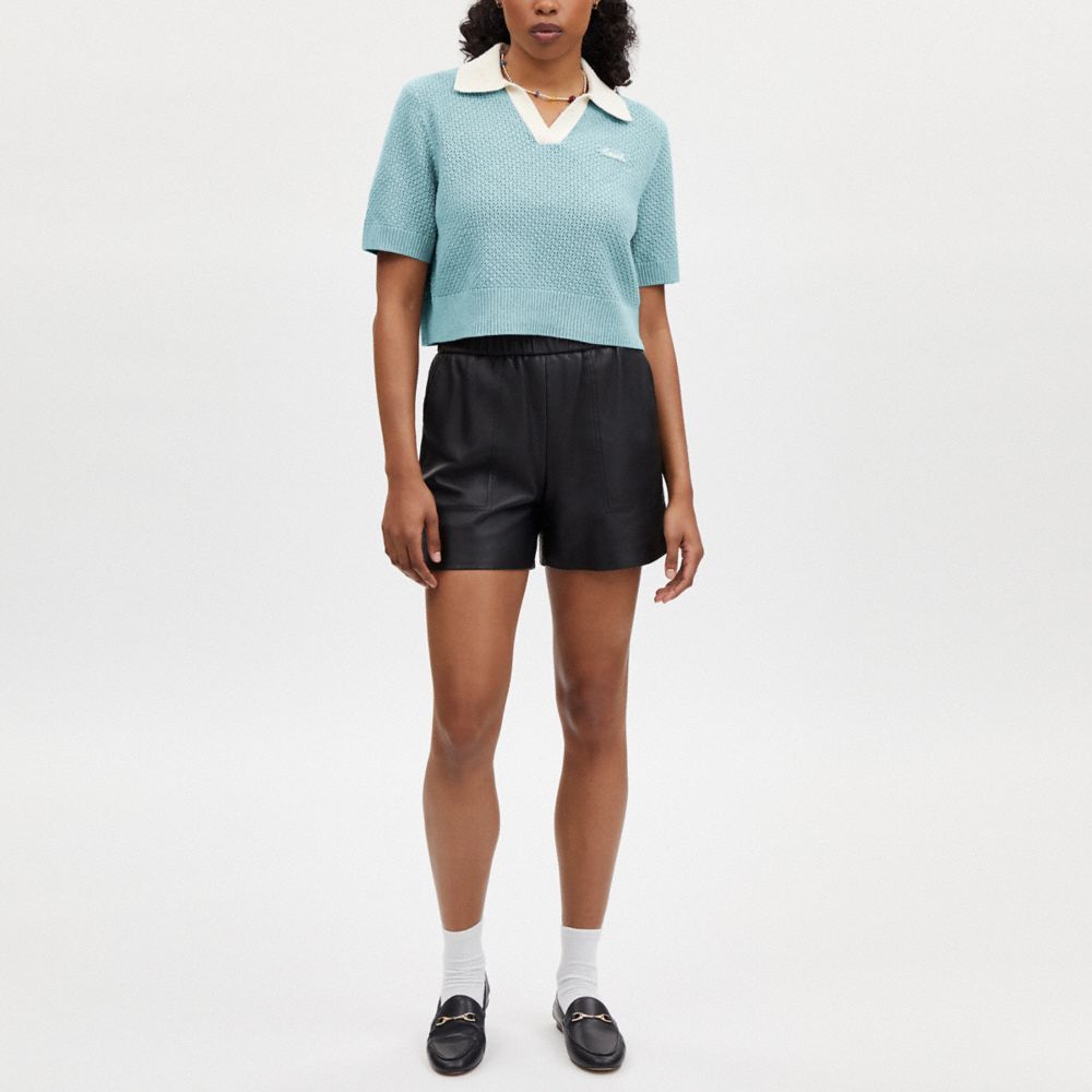 COACH®,CROPPED KNIT POLO,Blue,Scale View