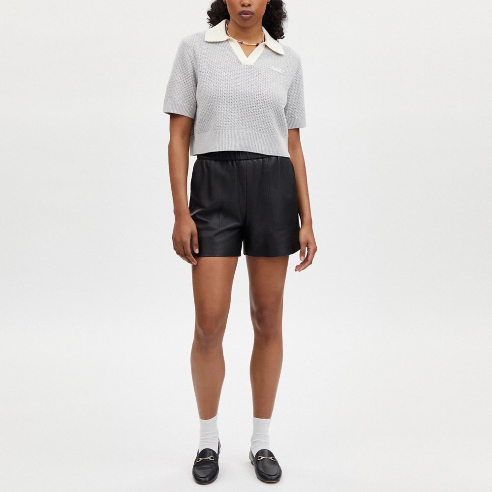 COACH®,CROPPED KNIT POLO,Steam,Scale View