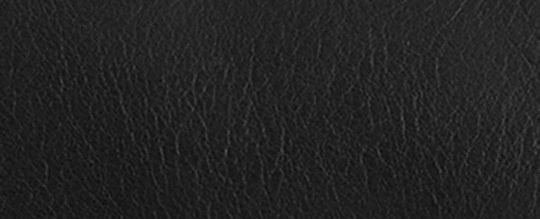 Plata/Negro