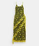 COACH®: Ruffle Lace Dress