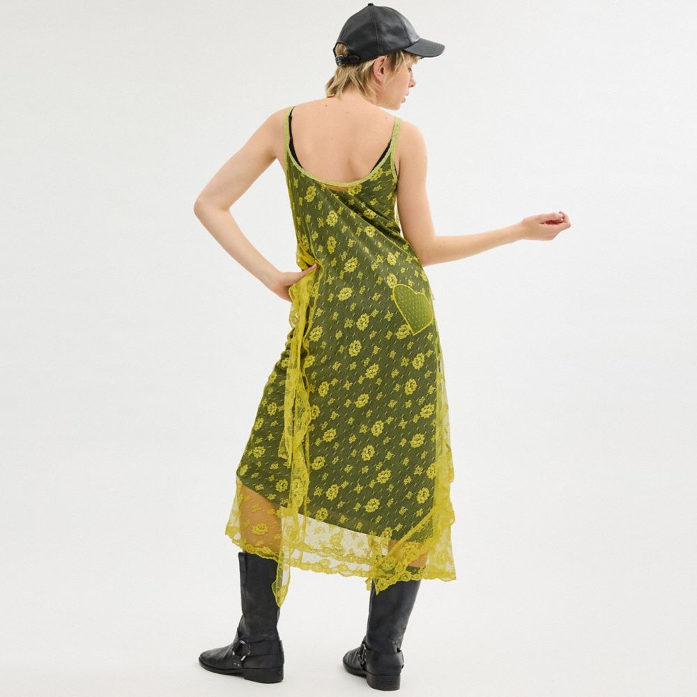 COACH®,RUFFLE LACE DRESS,Yellow,Scale View