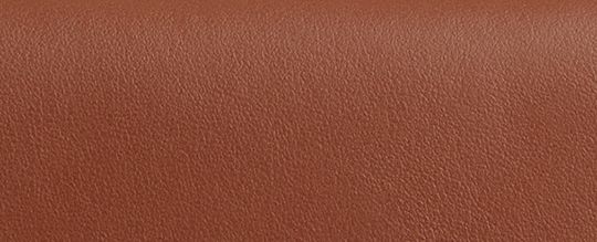 COACH®,Eliza Small Wallet,Bi Fold,Embossed,Logo,Casual,Brown