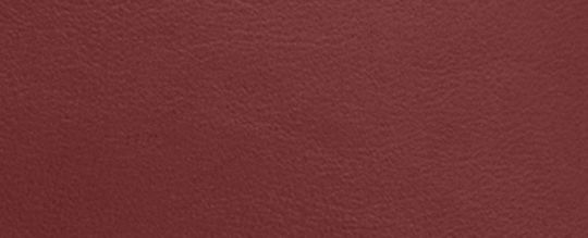 COACH®,Brooklyn Shoulder Bag 39,Hobo,Embossed,Word Embellishment,Logo,Casual,Maroon,Front View