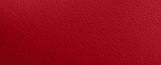 COACH®,ブルックリン ショルダー バッグ 28,ショルダーバッグ,ﾌﾞﾗｽ/ﾀﾝ,ﾌﾞﾗｽ/ｽｶｰﾚｯﾄ