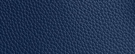 COACH®,ゴッサム ジップ トート バッグ,トートバッグ,ﾃﾞｨｰﾌﾟﾌﾞﾙｰ