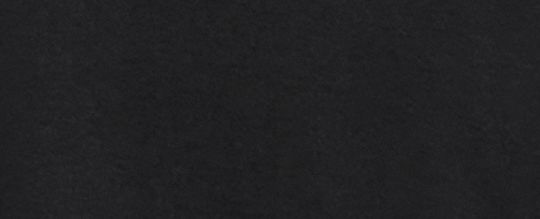 COACH®,T Shirt In Organic Cotton,Cotton,T Shirt,Casual,Black