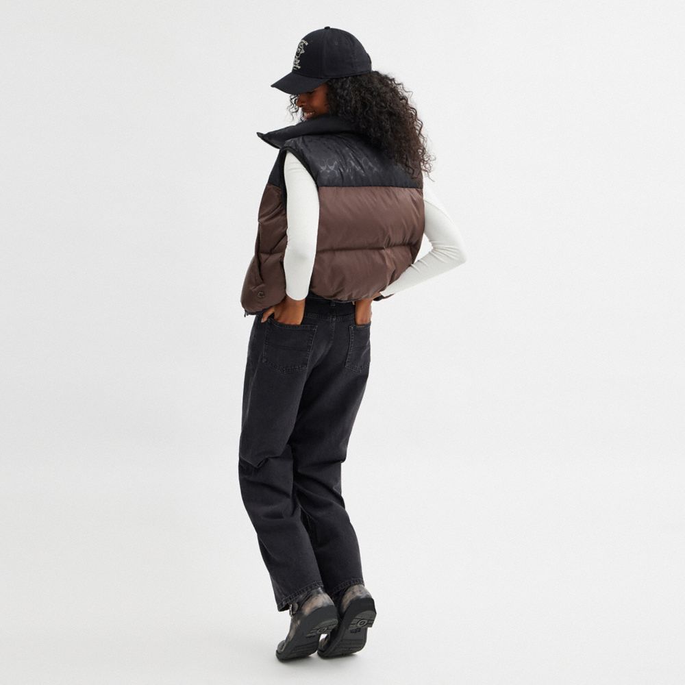 COACH®,Puffer Vest In Recycled Polyamide,Polyamide,Quilted,Puffer,Piping,Color Block,Sustainable,Down Insulation,Casual,Brown,Scale View