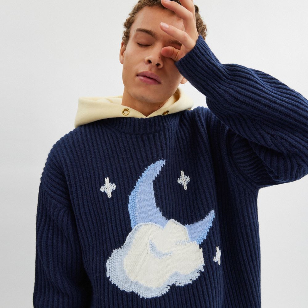 COACH®,Chunky Graphic Sweater In Recycled Wool,Cashmere,Wool,Sweater,Pullover,Ribbed,Casual,Navy,Detail View