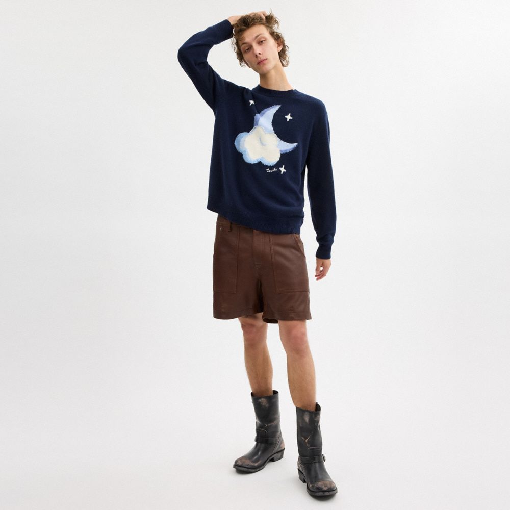 COACH®,Graphic Intarsia Crewneck Sweater,Pullover,Ribbed,Casual,Navy,Scale View