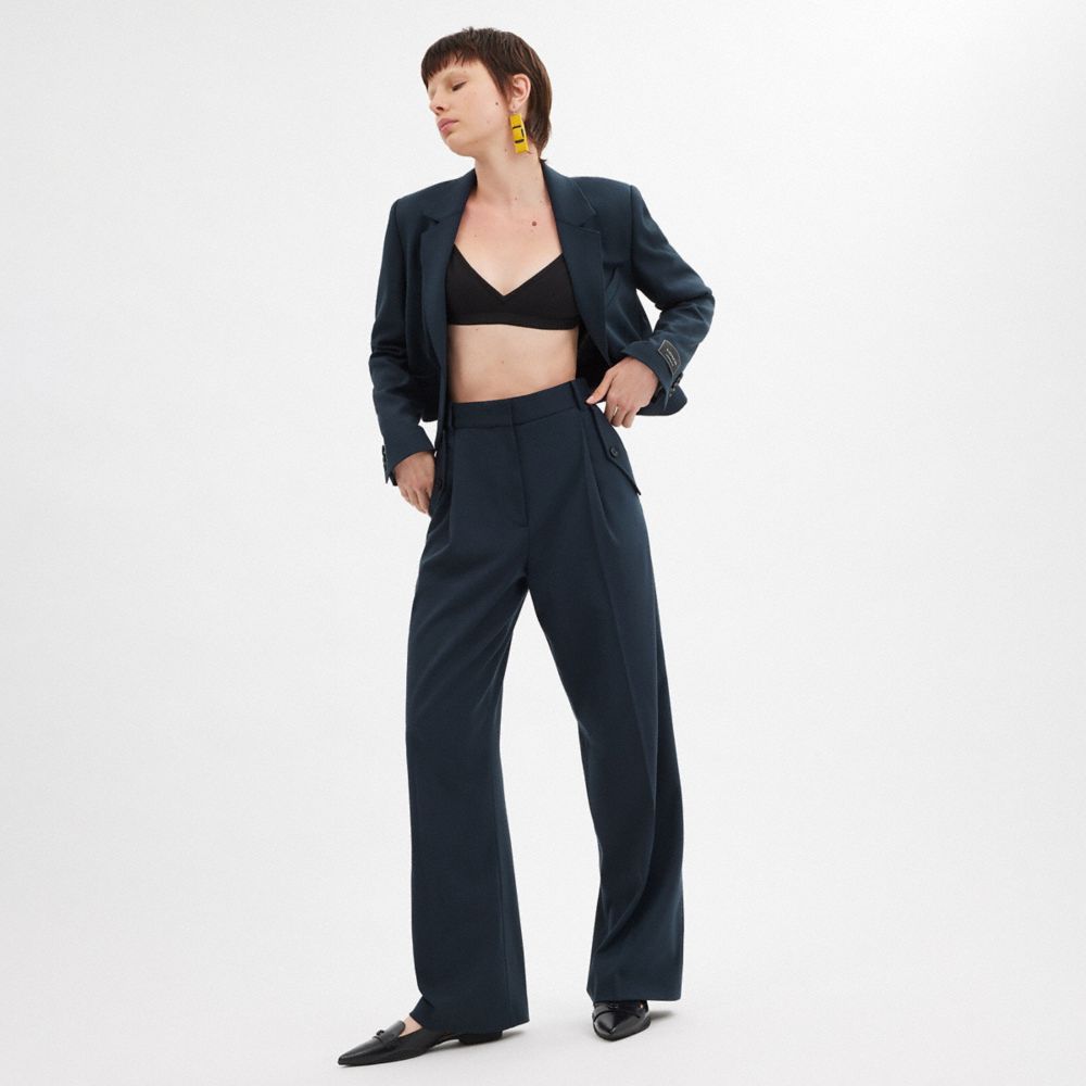 COACH®,Tailored Pants,Polyester,Viscose,Trouser,Wide Leg,Cargo,Pleats,Day Party,Work,Navy,Scale View