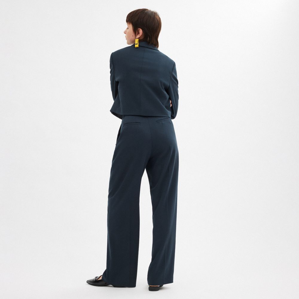COACH®,Tailored Pants,Polyester,Viscose,Trouser,Wide Leg,Cargo,Pleats,Day Party,Work,Navy,Scale View